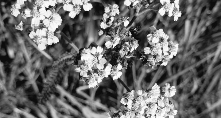 Art Therapist to Expression 