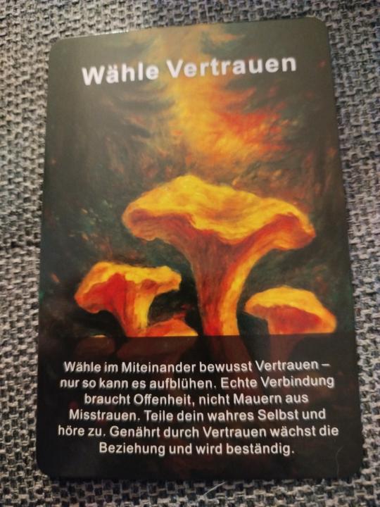 Eine Botschaft für alle✨🪶🌈