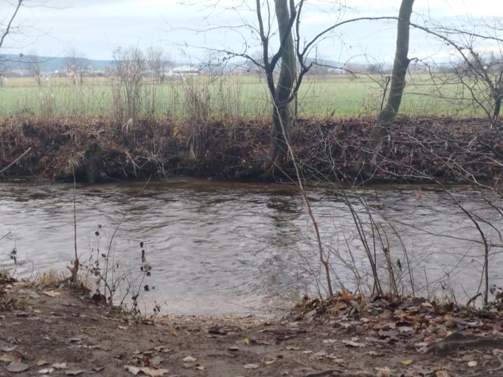 🍃Die Natur🌱🌿