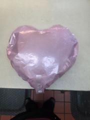 Kimberly Whitesel