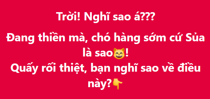 🐕 Ngồi Thiền - Chó Sủa - Làm Thơ 🧑‍🤝‍🧑