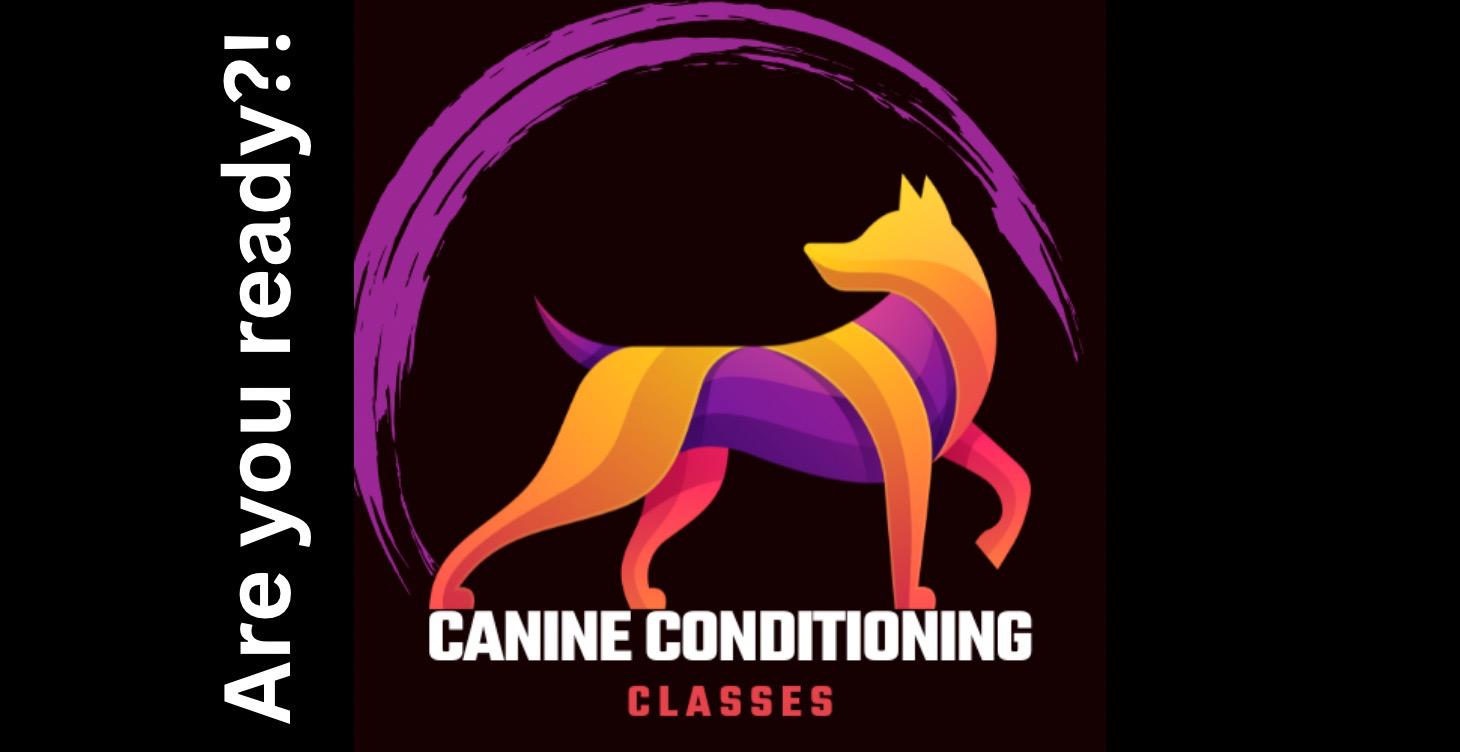 Canine Conditioning classes