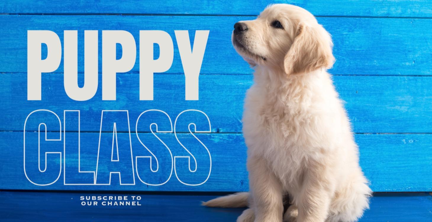Puppy Class