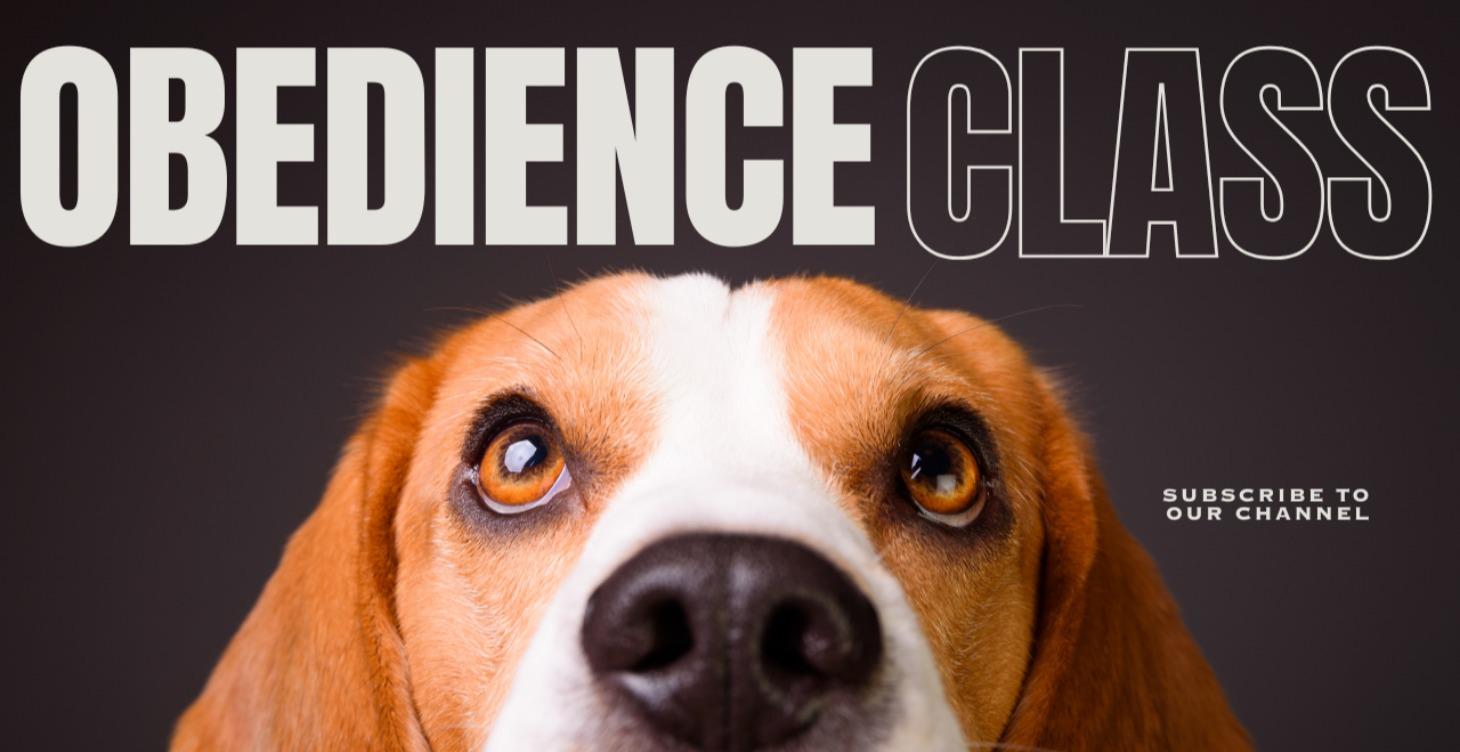 Obedience Class