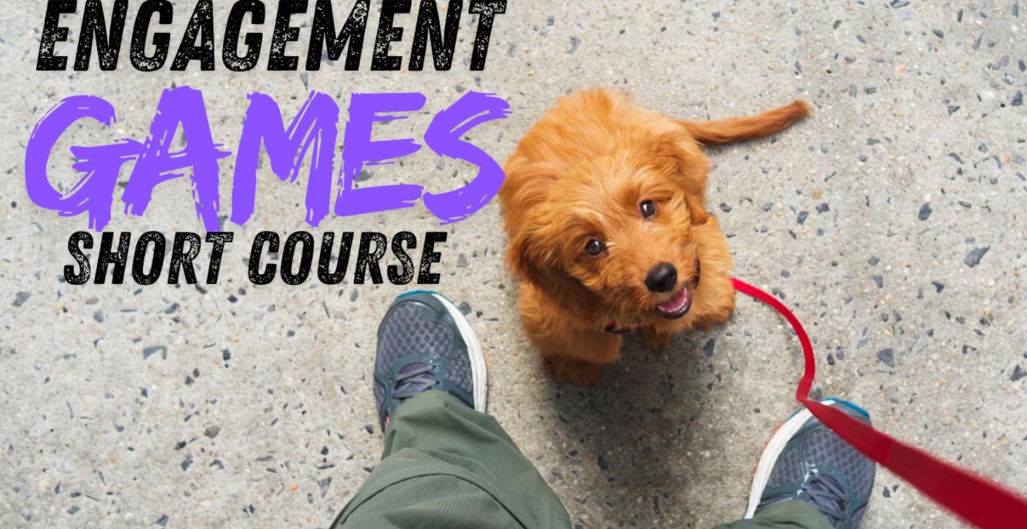 Engagement Games Short Course