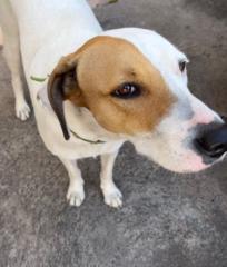 Jesús Eduardo García León