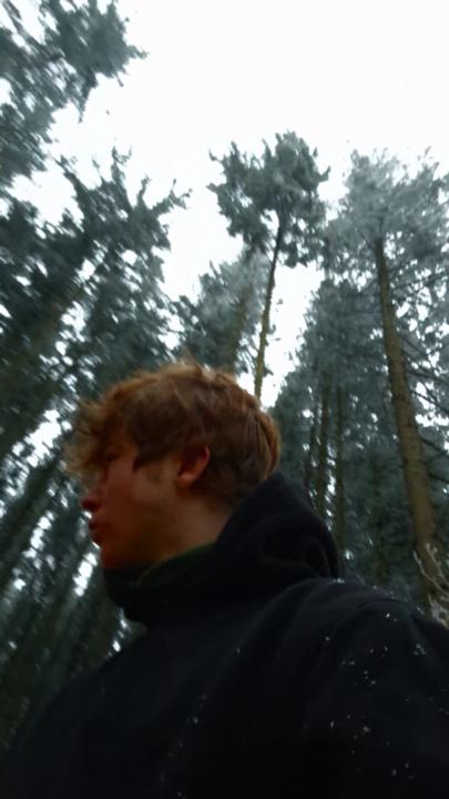 Felix Bölte