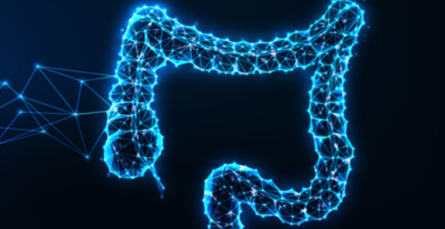 Gut Health Reset