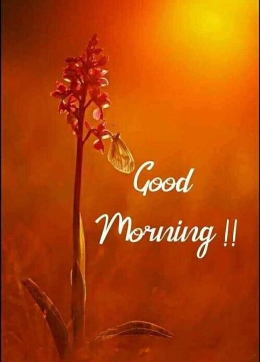 Good Morning Fam~🧵