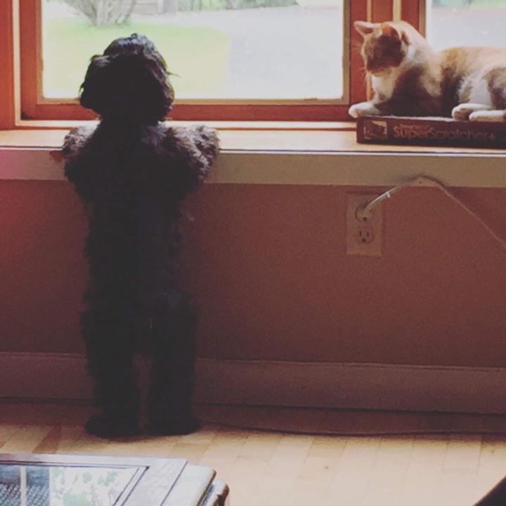 Jacqueline Henneberry