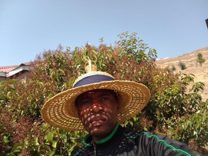 Thabo Nthontho