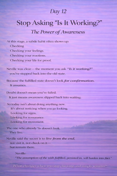 Day 12 - Stop Asking 'Is it working?'