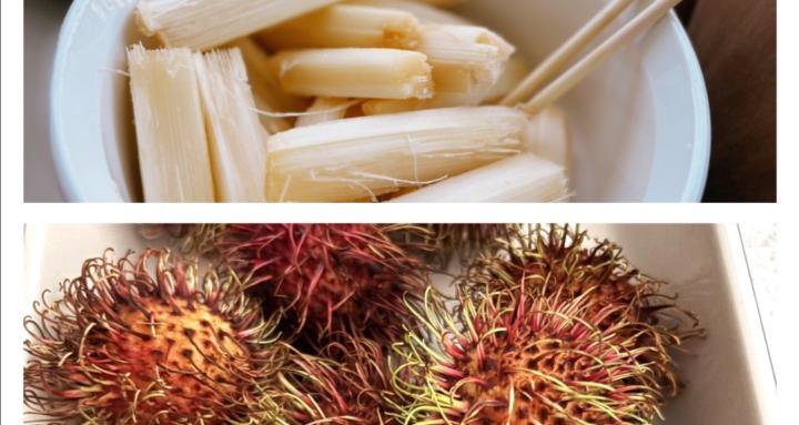 AutismGutHealth SKOOL Members