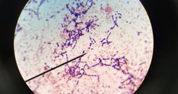 The Life Science Niche