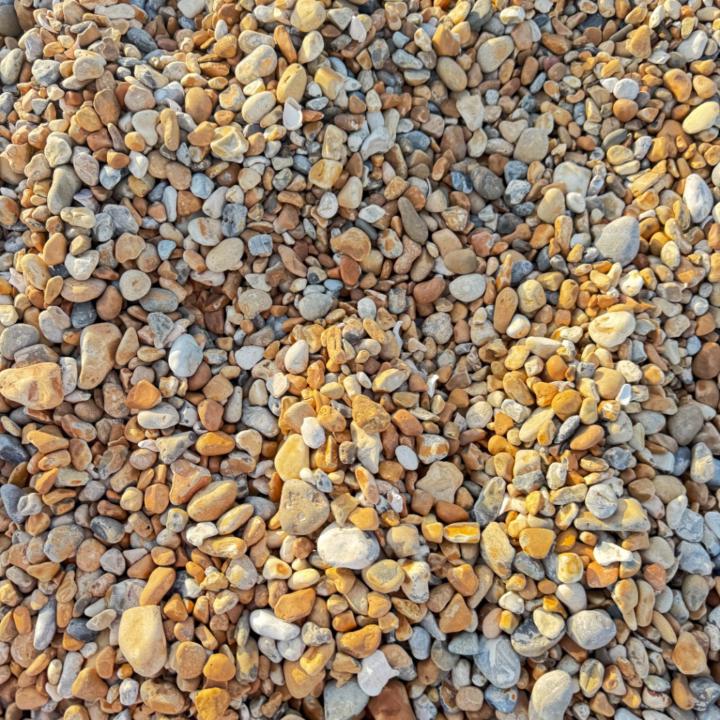 Alexa Romanoff