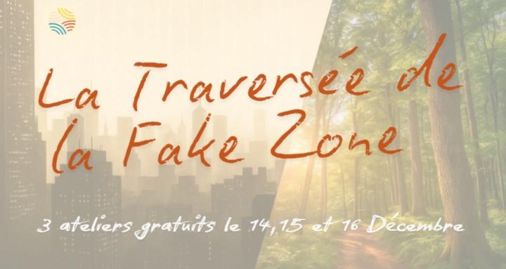LA TRAVERSEE DE LA FAKE ZONE