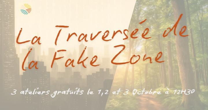LA TRAVERSEE DE LA FAKE ZONE
