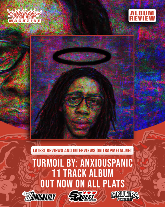 Turmoil By: Anxiouspanic. A blog review.