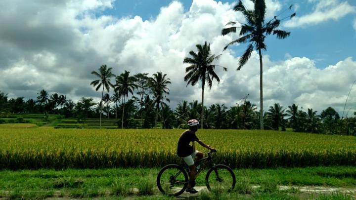 I kadek Pridawiyana