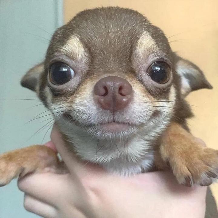 Erik T