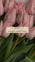 Ghaidaa Al taweel