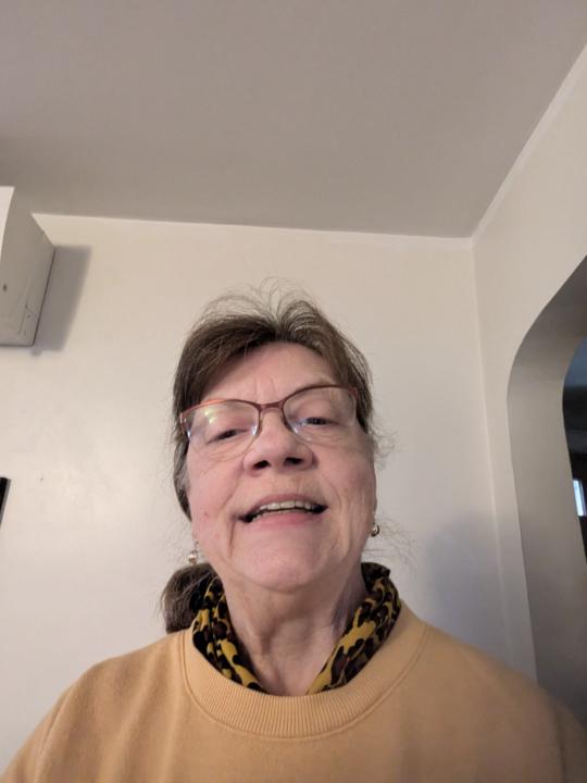 Shirleen Perniciaro