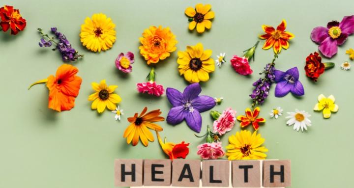 Hands and Hearts Wellness