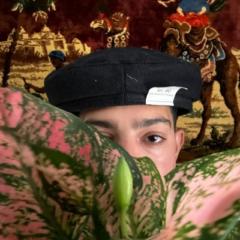 Salsi Salama