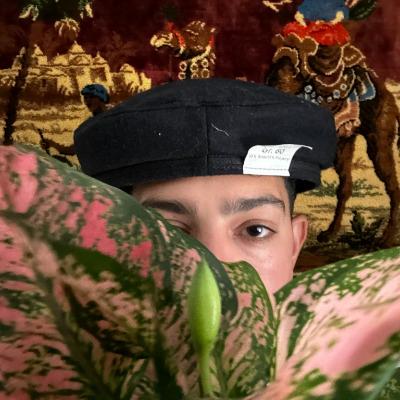 Salsi Salama