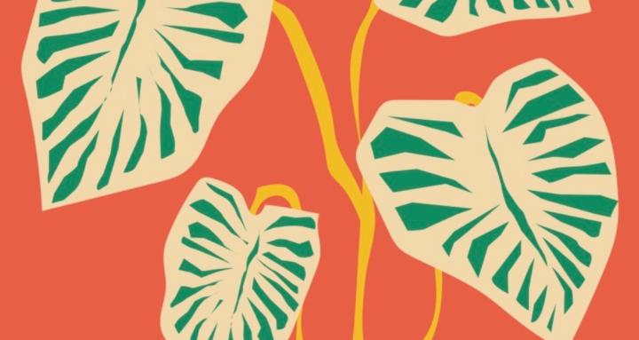 life of of plant loving