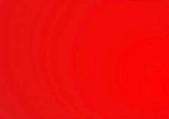 Brenda Treviño
