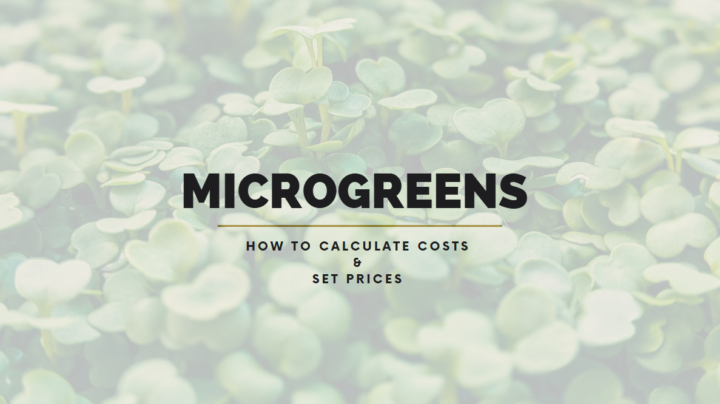 Calculating Costs PDF 