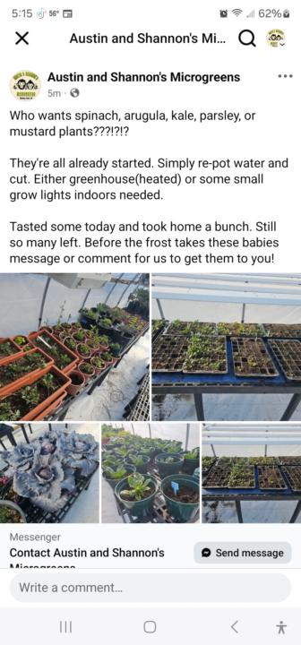 Day 1- Plant Rescue
