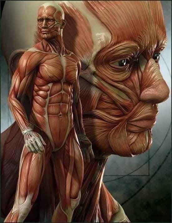 Letisia Reyna Gaytan