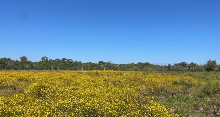 Adventure with Grace & Kendall