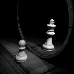 Chess Newbie