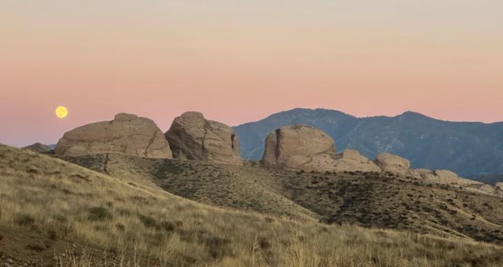 Revelation Sanctuary