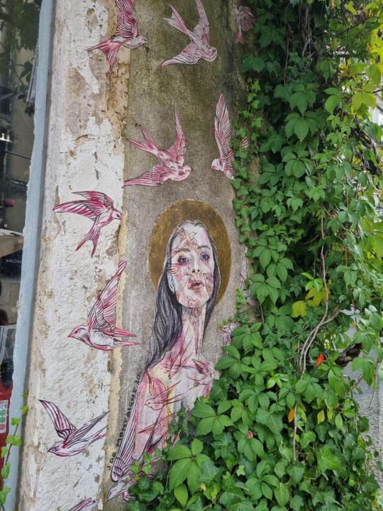 Agnes Teixeira dos santos