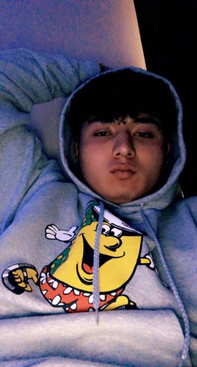 Brandon Luu