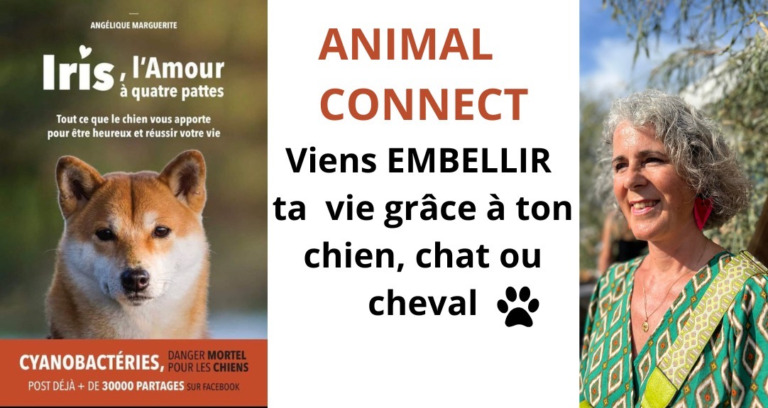 Animal Connect
