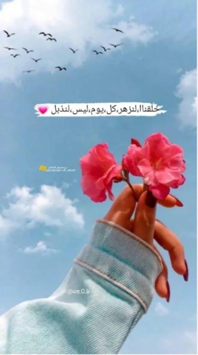 Razan Ibrahim