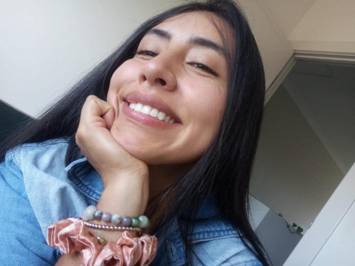 Karen Julieth Peña Ariza