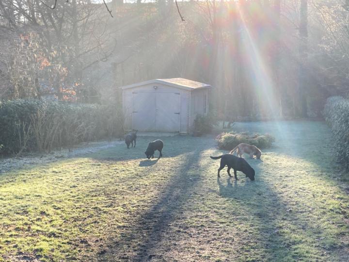 Marina Gates fleming