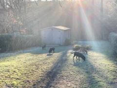 Marina Gates fleming