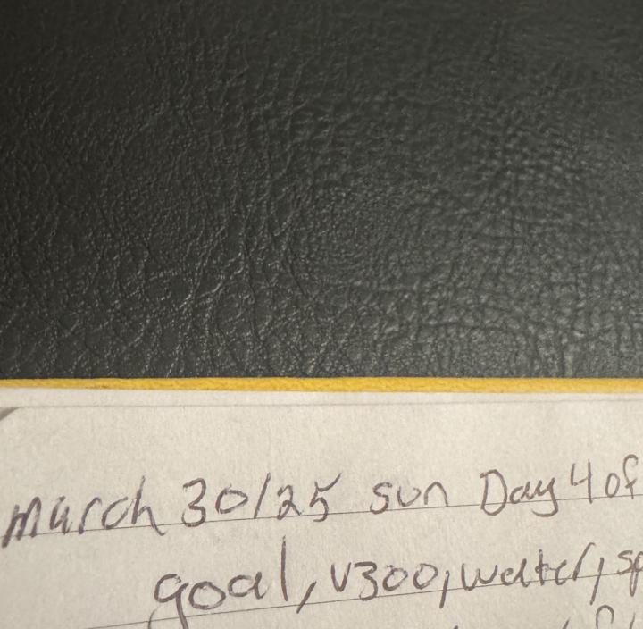 Day 4 journal, evening reflection and V300