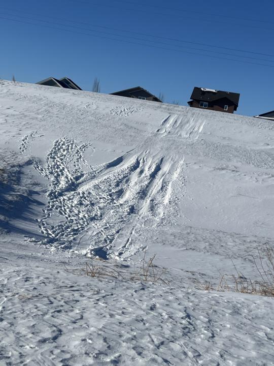 Day 19 accountability 