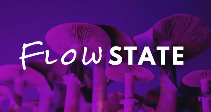 Flow State