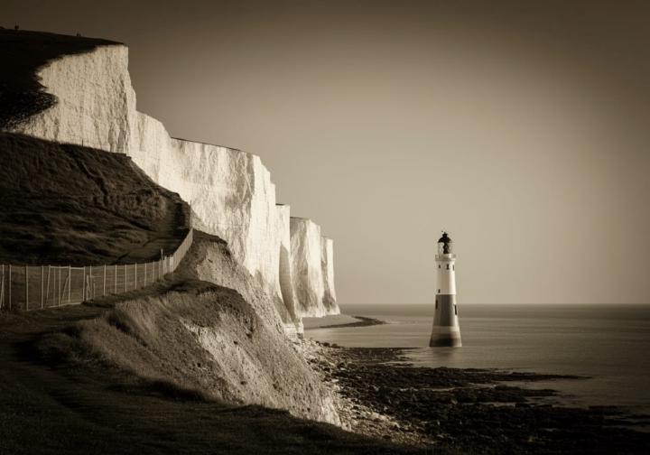 🐦 From London to Eastbourne: A Birder’s View of the Unexpected