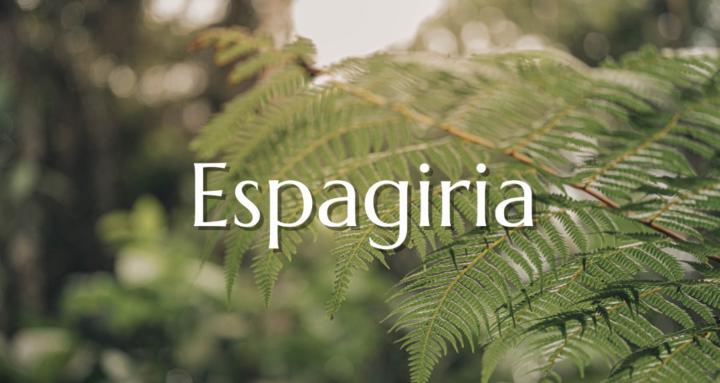 spagyria