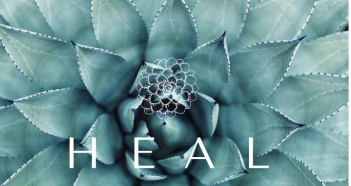 HEAL DETOX & WELLNESS